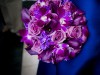 IMG_0050
